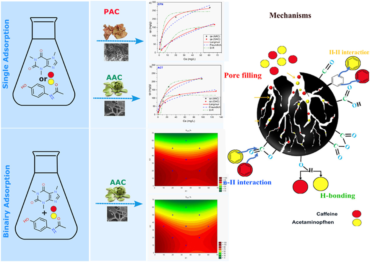  ◳ Graphical abstract - Sustainable removal of caffeine and acetaminophen from water  (jpg) → (originál)