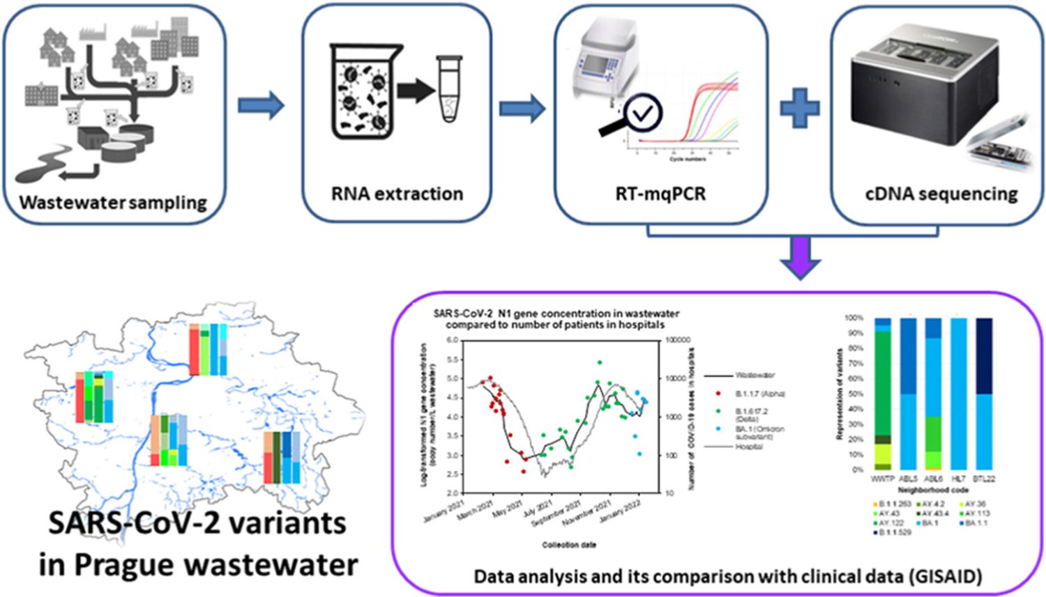  ◳ Graphical abstract - SARS-CoV-2 variants in Prague wastewater  (jpg) → (originál)