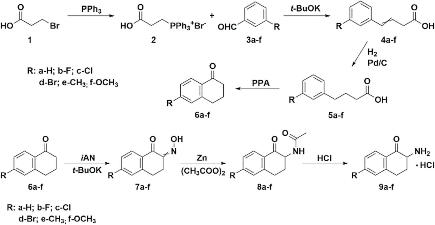 scientists-utilize-chi