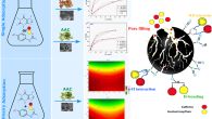 Graphical abstract - Sustainable removal of caffeine and acetaminophen from water 