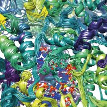 Bioinformatika v biochemii a mikrobiologii