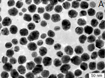 Obr. 1A - Nanočástice stříbra (35 nm) z pohledu transmisní elektronové mikroskopie Obr. 1A - Nanočástice stříbra (35 nm) z pohledu transmisní elektronové mikroskopie