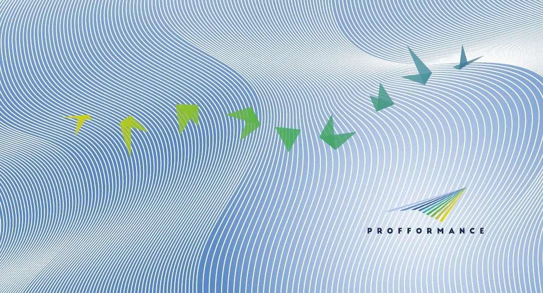 profformance-konferencia-social-fb-post-logo-nelkuli